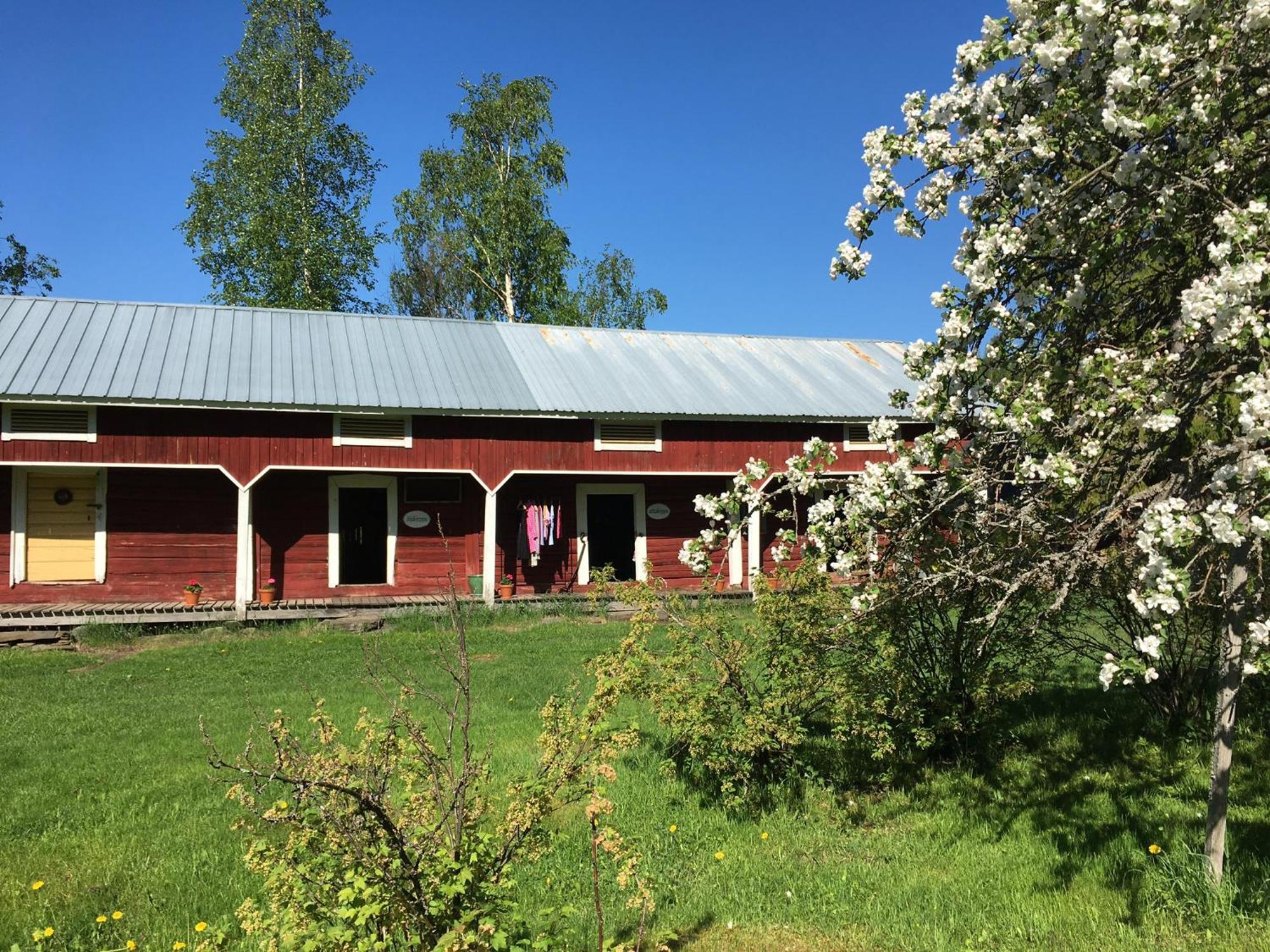 Ollilan Tupa Joensuun Laehellae Bed & Breakfast Ylamylly Exterior photo